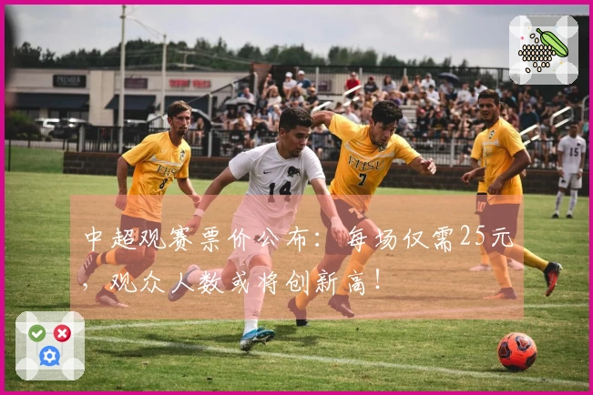 中超观赛票价公布：每场仅需25元，观众人数或将创新高！