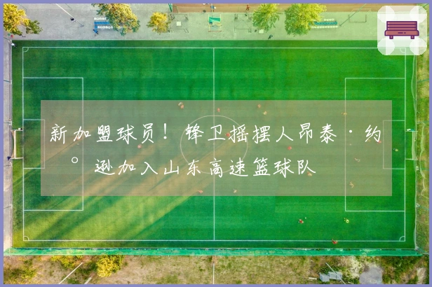 新加盟球员！锋卫摇摆人昂泰·约翰逊加入山东高速篮球队