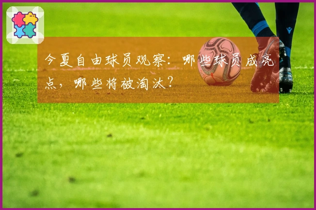 今夏自由球员观察：哪些球员成亮点，哪些将被淘汰？