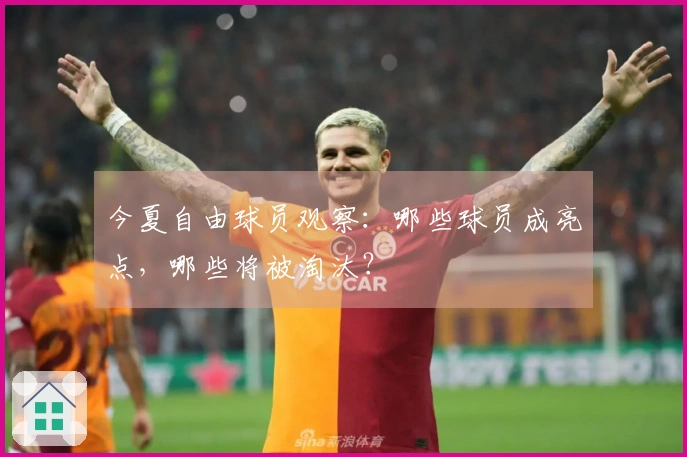 今夏自由球员观察：哪些球员成亮点，哪些将被淘汰？