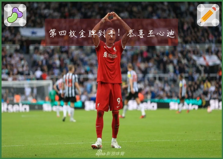 第四枚金牌到手！恭喜王心迪