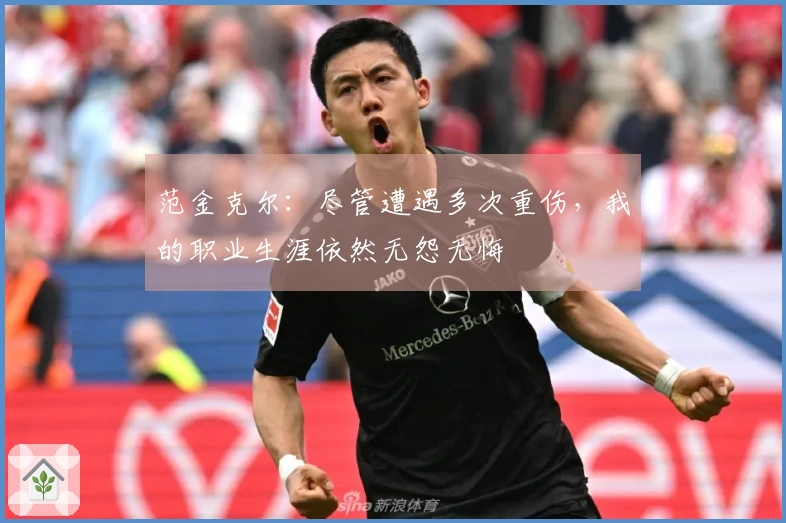 范金克尔：尽管遭遇多次重伤，我的职业生涯依然无怨无悔