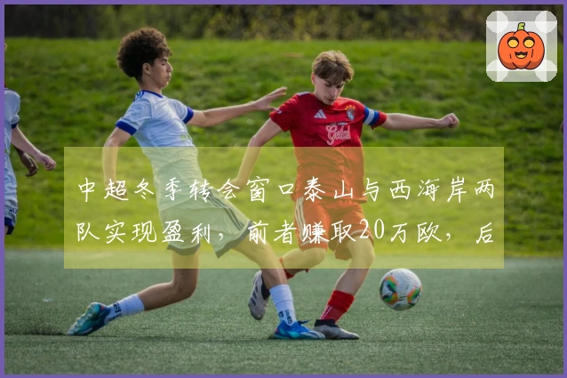中超冬季转会窗口泰山与西海岸两队实现盈利，前者赚取20万欧，后者接近100万欧