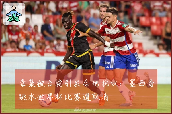 毒枭被击毙引发各地抗议，墨西哥跳水世界杯比赛遭取消